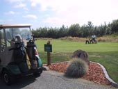 Golf Willows Run.jpg (6190 bytes)
